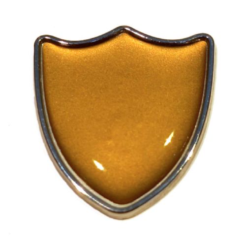 Bronze shield badge